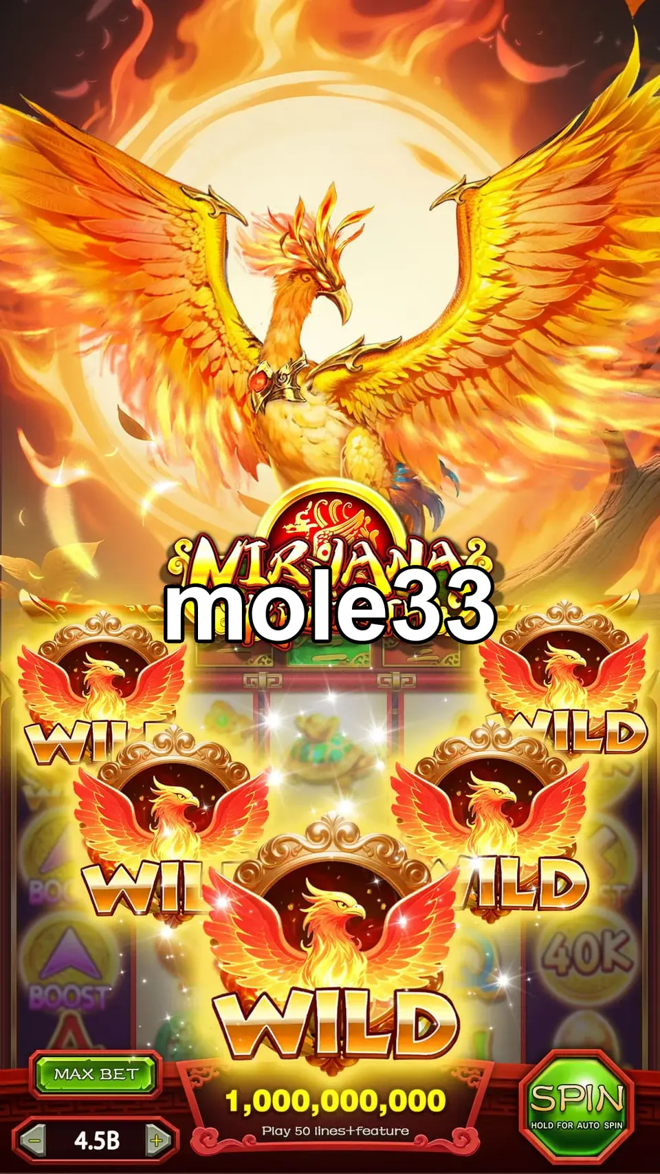 mole33 APK