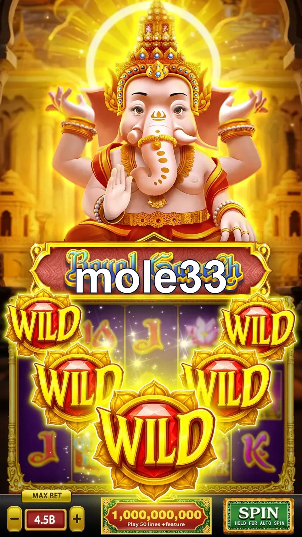 mole33 Masuk
